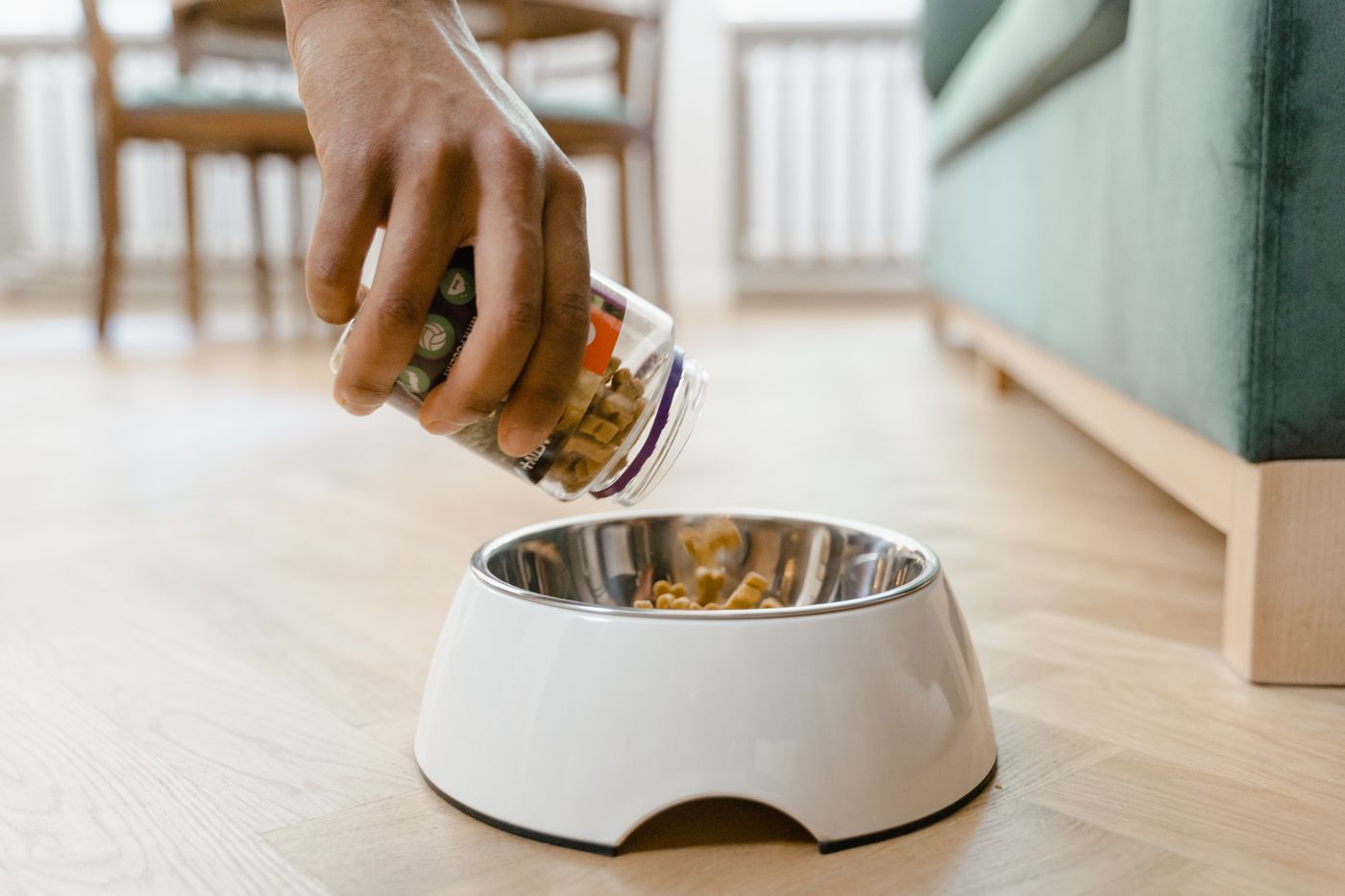 Pet food and care product usage scene